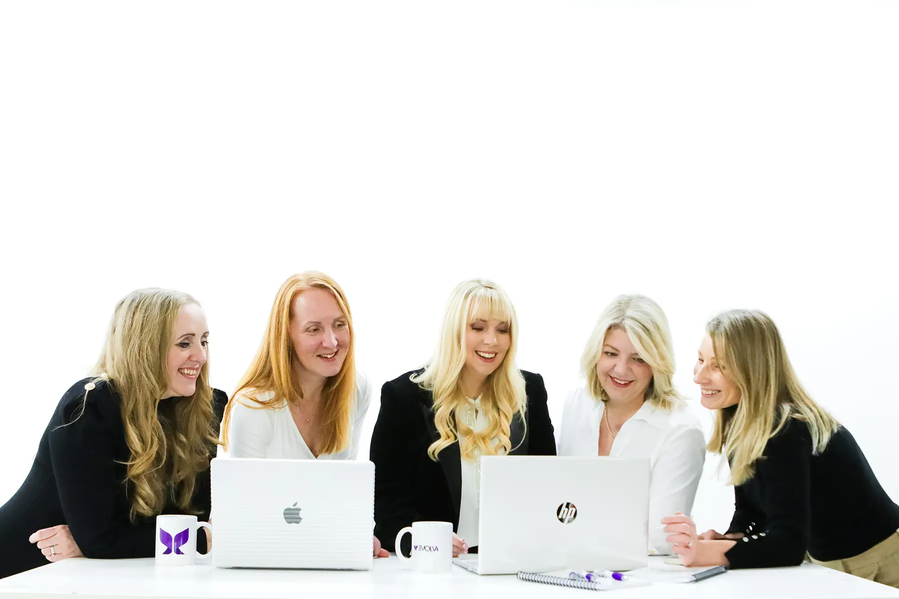 The Evolva Business Growth Collective team working on laptops.